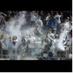CHS Spirit Club (@chscatpack) Twitter profile photo CHS Spirit Club (@chscatpack) Twitter profile photo