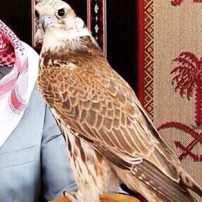 ffhhiid's profile picture. سبحان الله وبحمدك سبحان الله العظيم