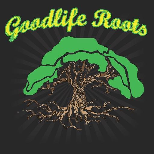 goodliferoots's profile picture. a collective of designers/artists hand making products with original artwork and at times using recycle materials.  We have a mobile boutique store that travels
