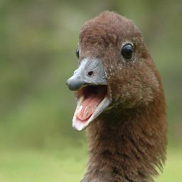 _ourlifeadvice's profile picture. 