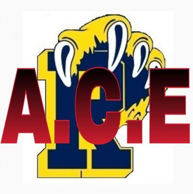 HnmAce's profile picture. 