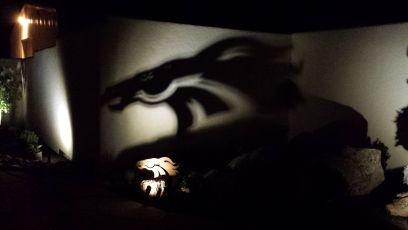 marla_hawkins's profile picture. 