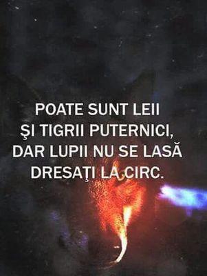 fl0rentyna's profile picture. 