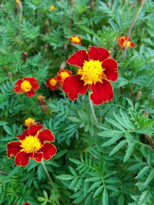 deuxeptrois's profile picture. 