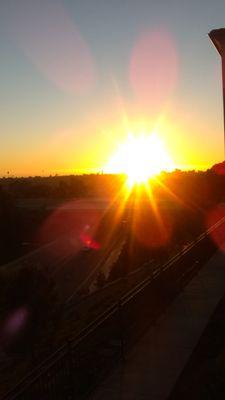 cellis236's profile picture. 