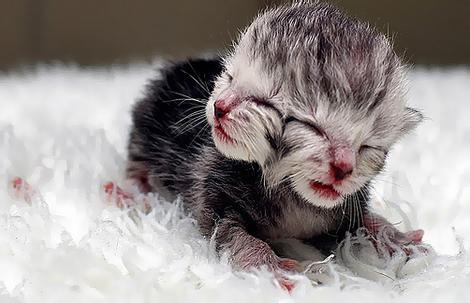 alfconlon's profile picture. Digital Hobo