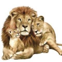 FamilyManRajesh's profile picture. Dharma+Law abiding demand life w/Self Respect & Gender Neutrality in society as Father, Husband, Son, Brother, Son-in-Law, Employee, Taxpayer  & Global Citizen!