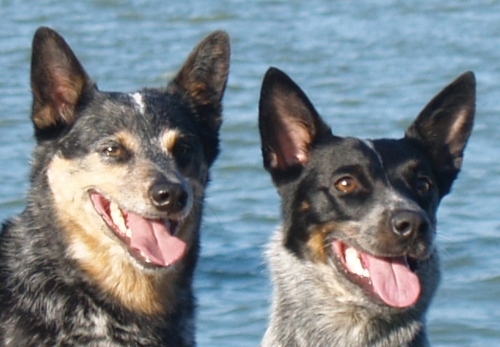 ematwell's profile picture. 