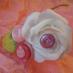 Bouquets and Beyond (@bouquetsbeyond) Twitter profile photo Bouquets and Beyond (@bouquetsbeyond) Twitter profile photo