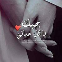 امل الحياء (@bentbohaa3344) 's Twitter Profile