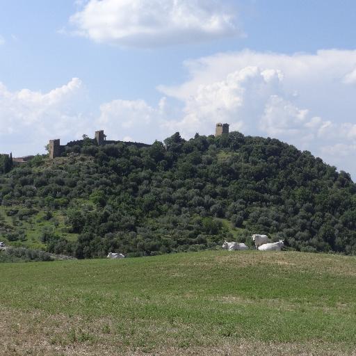 Discover  Pienza - Montepulciano - Siena - la val d'Orcia con Bagno Vignoni. 
Scopri il cuore della Toscana -  Montepulciano- Bagno Vignoni
val d'orcia