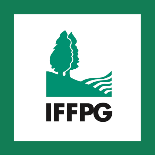 IFFPG's profile picture. 