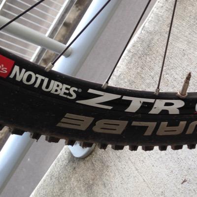 bunya mountain bike tracks