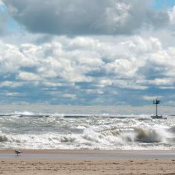 BernardTatin's profile picture. Développeur (sympathique) en recherche d'emploi sur Orléans
