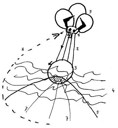 lovetherod's profile picture. 