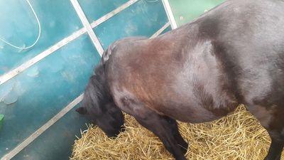 EviPassion's profile picture. 