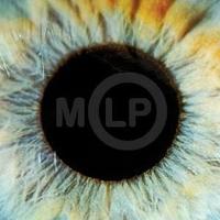 DanD (@mlpmusiclover) 's Twitter Profile