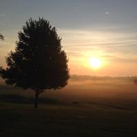 Montgomery County SWCD (@mocoswcd) 's Twitter Profile