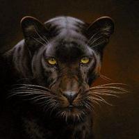 Markus (@phate) Twitter profile photo