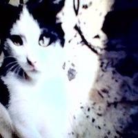 yasmin ece (@yasminece5) 's Twitter Profile