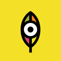 Arboles Magicos (@arbolesmagicos) 's Twitter Profile
