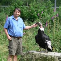 Carl G Jones (@profcarlgjones) 's Twitter Profile