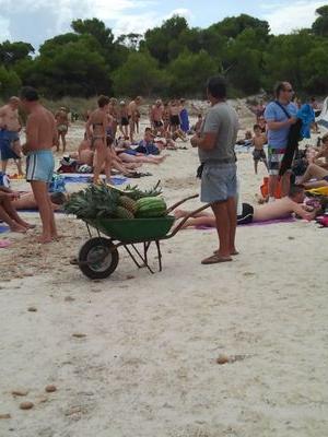 Vorrei vendere cocco su una spiaggia tropicale