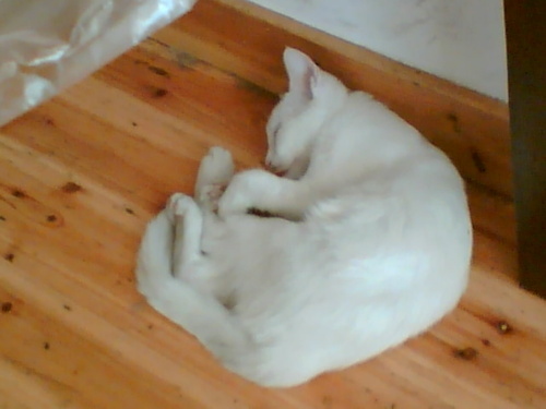 BusterBeamSlash's profile picture. nope