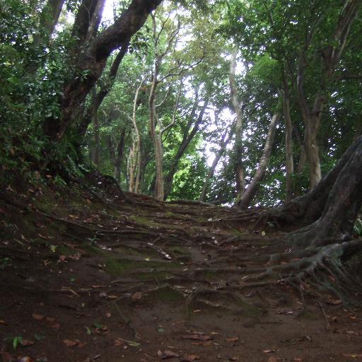 KinkyGaikokujin's profile picture. 裏垢です。40代前半のドＳ。色々なエロい物が好きです。SM　緊縛　アナル　レイプ遊びなどが好きです。痴女・男の娘を探してる

https://t.co/y2niwg3KvZ