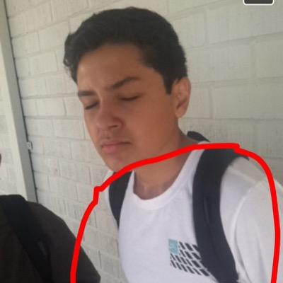 PincheSloth's profile picture. 