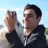 Çağrı Kk (@cagrikk) 's Twitter Profile