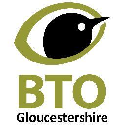 Twitter feed for the British Trust for Ornithology (BTO) in Gloucestershire. Bird surveys and ringing by volunteers inspired by birds and informed by science.