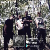 Set Fire to Salem (@setfiretosalem) 's Twitter Profile
