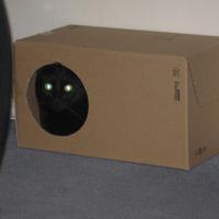 Trudeau's Travel Agent (@penelope_pj) 's Twitter Profile