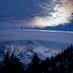 MtShasta RealEstate (@mtshastabase) Twitter profile photo MtShasta RealEstate (@mtshastabase) Twitter profile photo