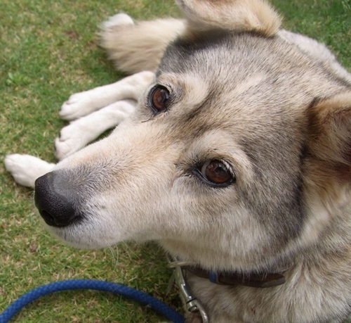 tknmst's profile picture. 