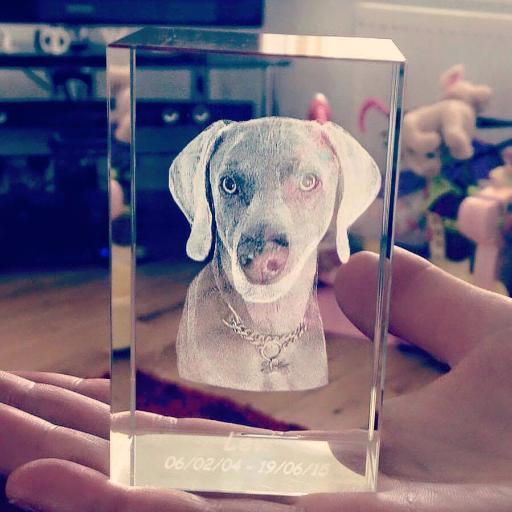Crystalis3d creates incredible 3D images from 2D photos and lasers them into crystal glass. The results are stunning and make the perfect gifts