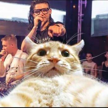 jabeskate's profile picture. Surf,skate,smoke weed,make love repeat