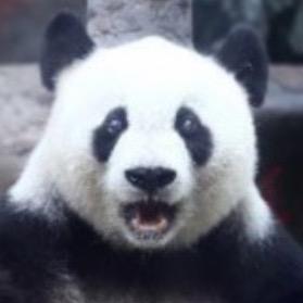 djangoscoffin's profile picture. 