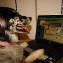 Seneca Miller - @senecasays - Twitter