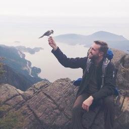 Sellonator's profile picture. 