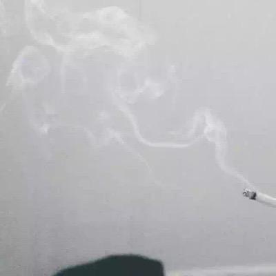 syafxd's profile picture. ig:unicorngotnochill