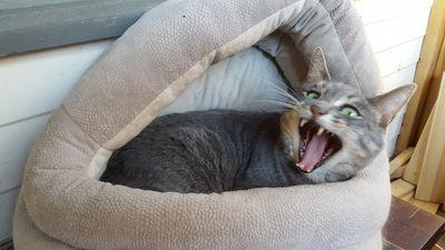 cledgerwoood's profile picture. 