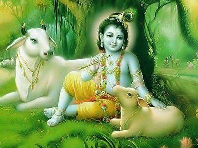 rajeshom1's profile picture. 