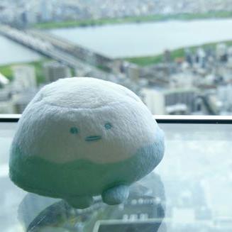 ねぎこ