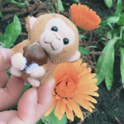 oshio2929's profile picture. 