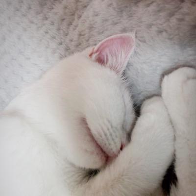 bluenote6mr's profile picture. 일상을 감사하며 살 수 있음에 또 한번 감사