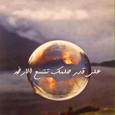 Abo_Moaweia's profile picture. 