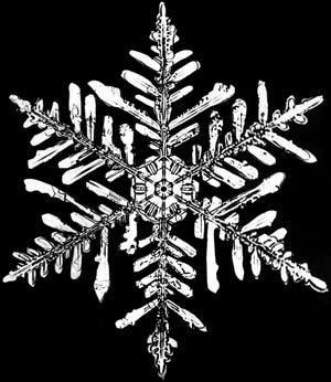 JeepInTheSnow's profile picture. Follow the whole Jeep Twitter Team at the X Games: @JeepOnTheStreet, @Jeep_On_MTN, and @JeepOnTheSlopes.