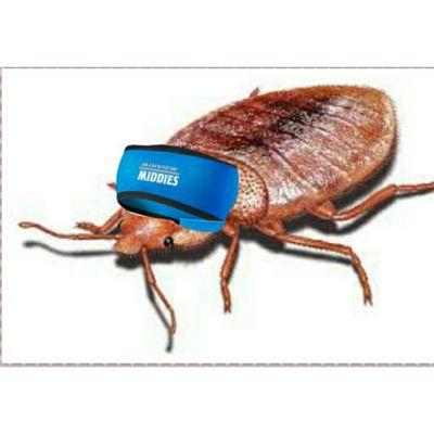 MidviewBedBug's profile picture. 